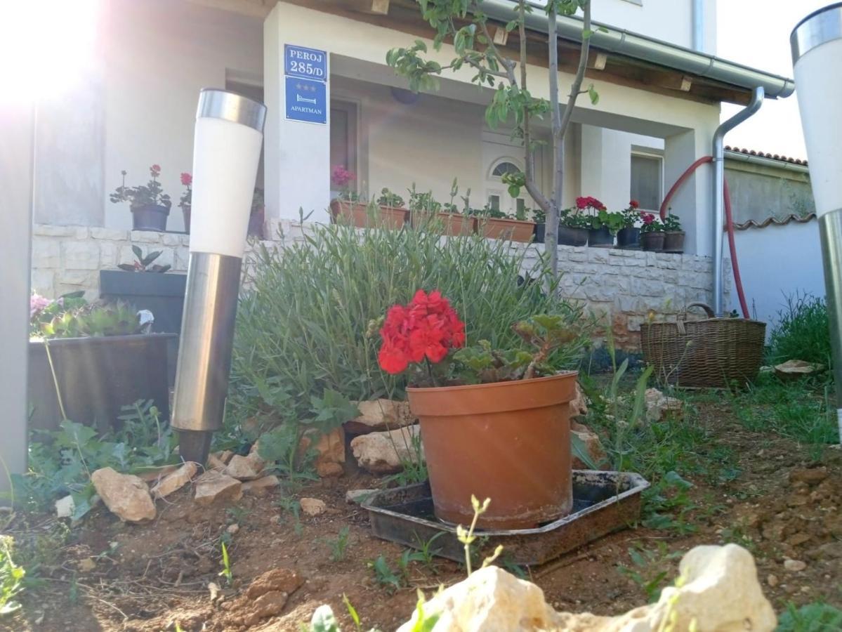 פרוי Apartman Josipa מראה חיצוני תמונה