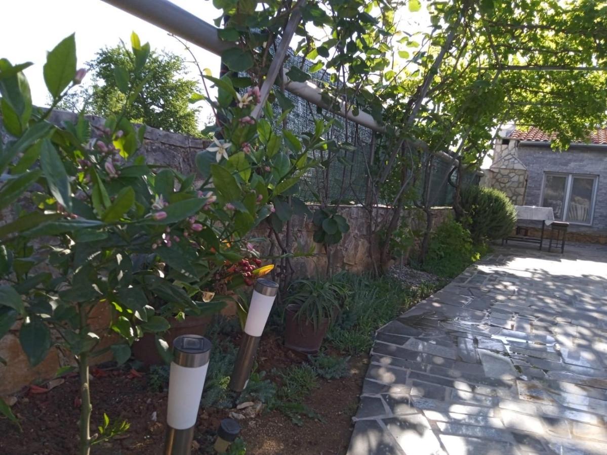 פרוי Apartman Josipa מראה חיצוני תמונה